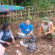 Petani Kecam Pernyataan Jokowi Sikapi Baleg DPR RI
