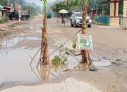 Warga Desa Sumber Sari Kampar Riau Kecewa, Tanam Pohon Pisang di Tengah Jalan Ini Penyebabnya