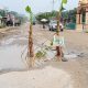 Warga Desa Sumber Sari Kampar Riau Kecewa, Tanam Pohon Pisang di Tengah Jalan Ini Penyebabnya