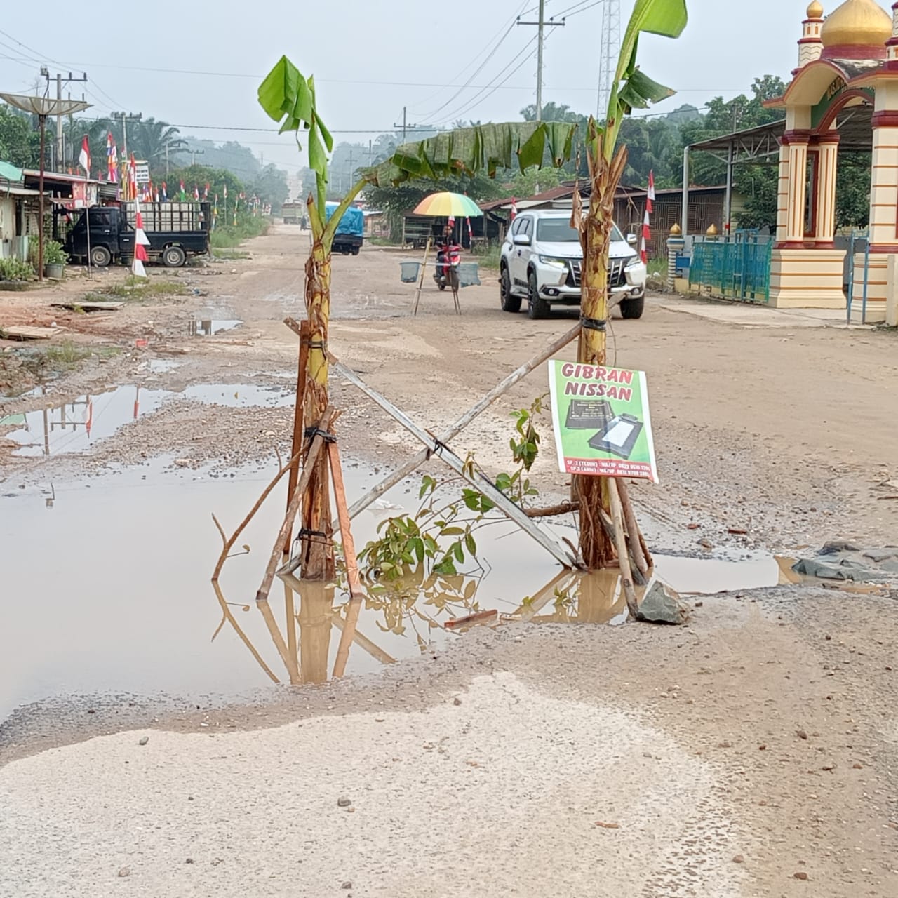Warga Desa Sumber Sari Kampar Riau Kecewa, Tanam Pohon Pisang di Tengah Jalan Ini Penyebabnya