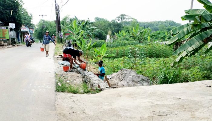 Proyek Drainase di Desa Candali Diduga Tak Transparan, Warga Pertanyakan Anggaran