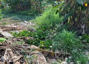 DPC LIN Kabupaten Tangerang Audiensi bersama Camat Paku Aji, Cari Solusi Masalah Normalisasi Sungai