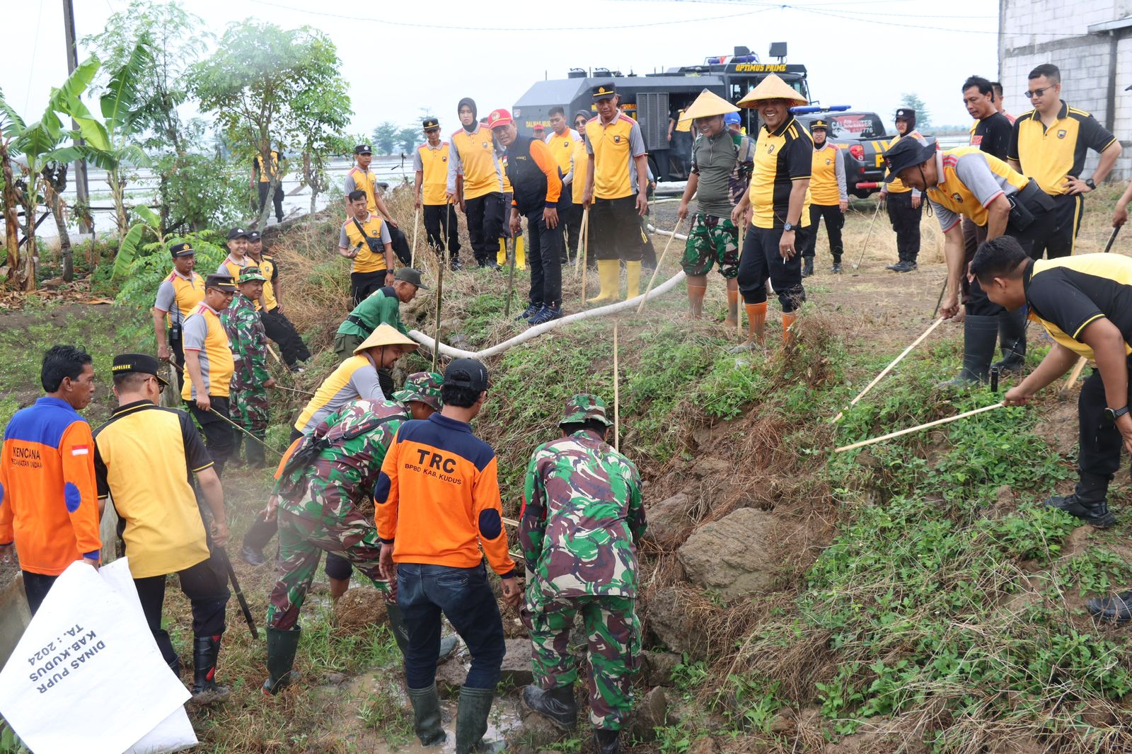 Polres Kudus Bersama Kodim 0722/Kudus dan Instansi Lain Gropyok Hama Tikus di Area Persawahan
