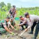 Lestarikan Alam, Koramil Gabus bersama Perhutani dan Forkopimcam Tanam Ratusan Pohon