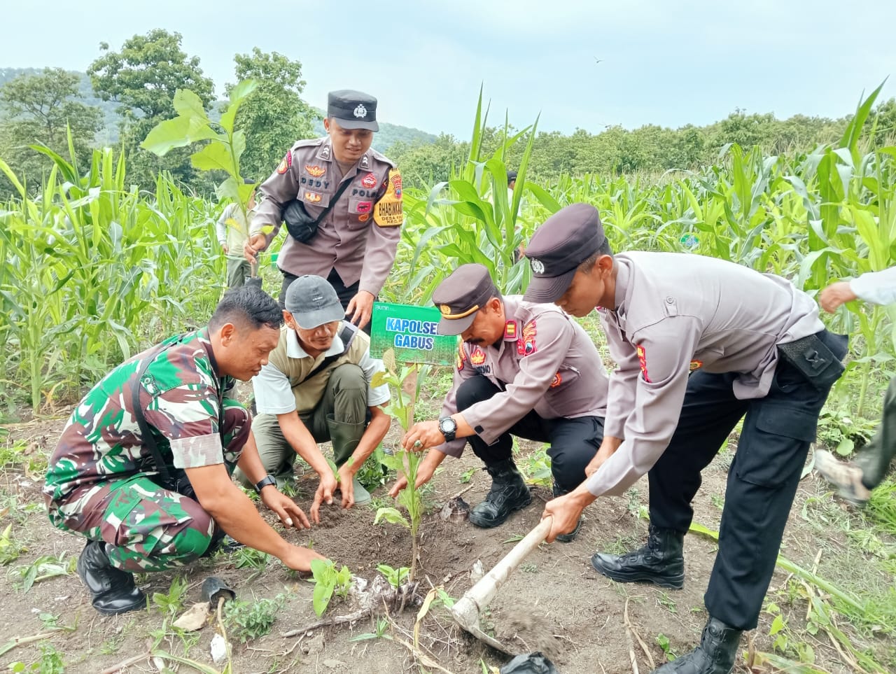 Lestarikan Alam, Koramil Gabus bersama Perhutani dan Forkopimcam Tanam Ratusan Pohon