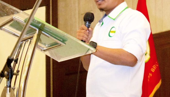 DPP CMMI Desak Pemerintah Cabut Status PSN dari PIK II