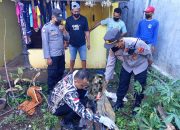 Seorang Pria Tewas Tersengat Listrik Saat Perbaiki Rumah Burung Sriti, Polres Wonogiri Lakukan Penyelidikan