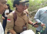 Konstatering Pengadilan Negeri Lamongan: Penegasan Legalitas Aset PT. Dok Pantai Lamongan Pasca Lelang Eksekusi